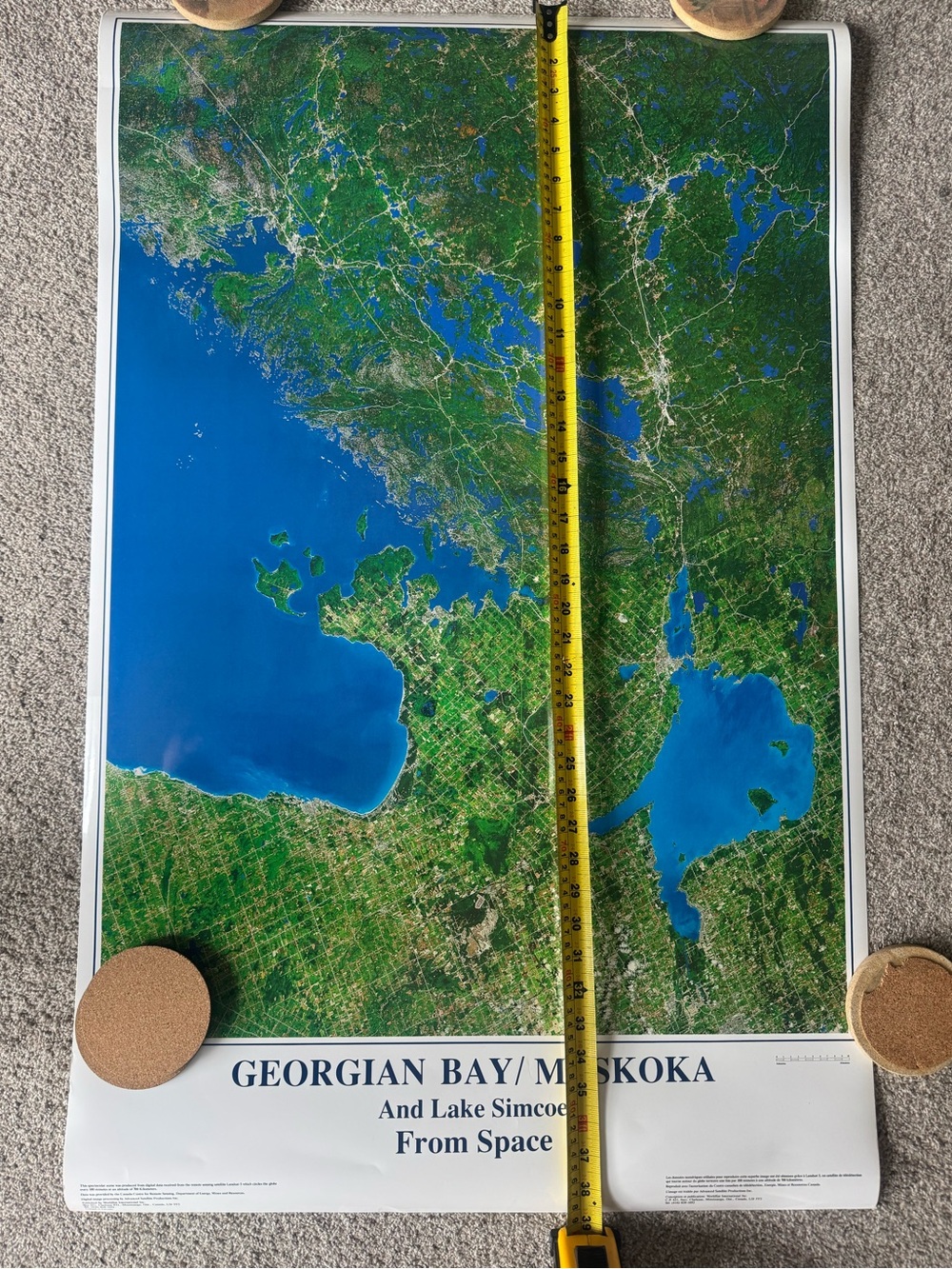 Georgian Bay / Muskoka Satellite Poster - Laminated